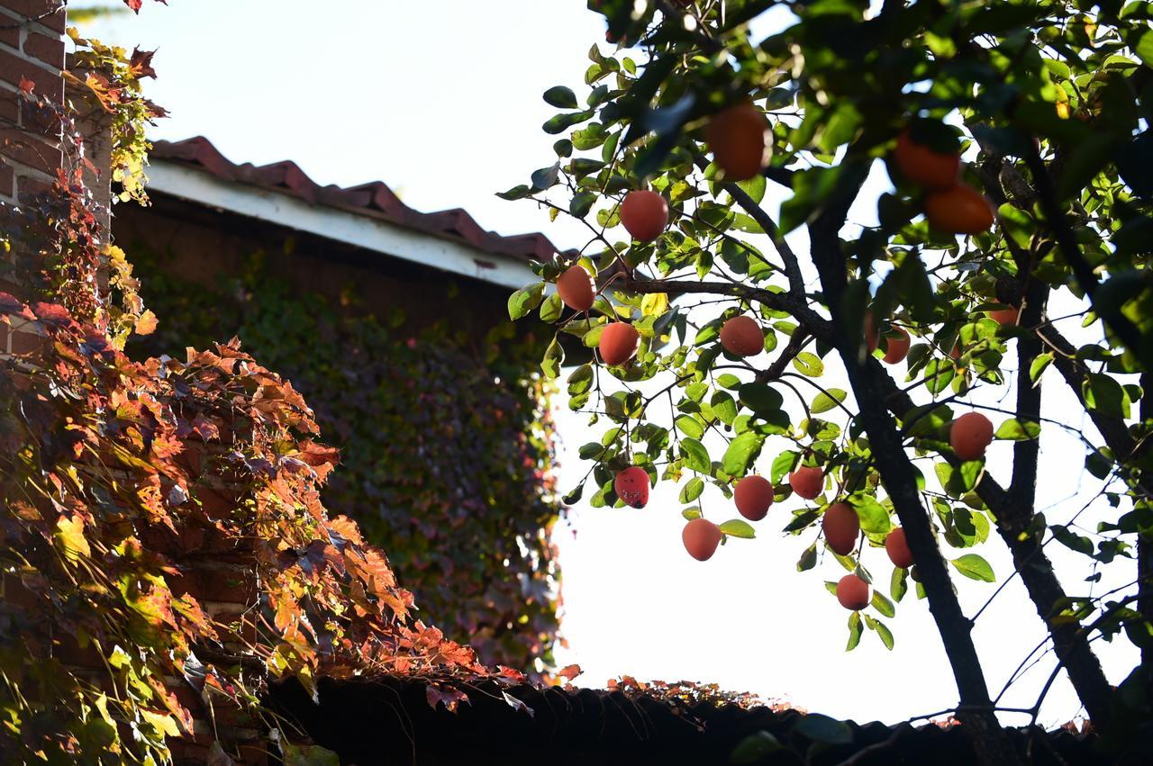 Photo Park Guest house 2*